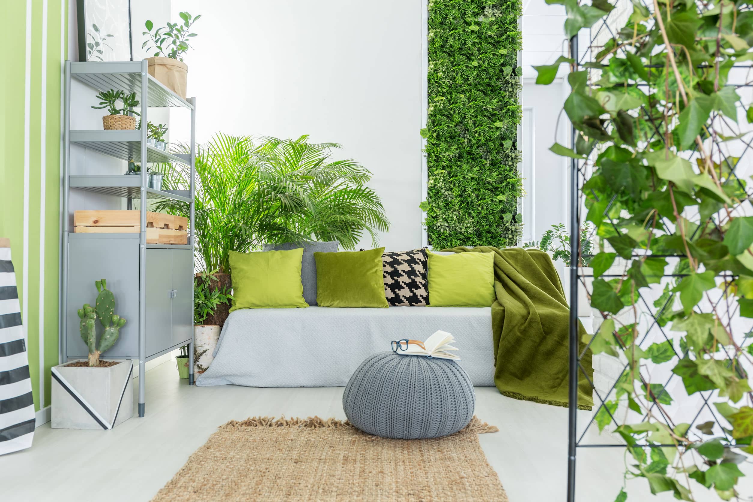 6 idées de décoration avec des plantes pour donner du style et de l’originalité à vos murs !