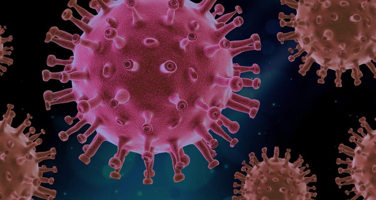 Bilan de la pandémie de coronavirus : moins de 10 000 personnes hospitalisées, un espoir vers une fin de la crise !