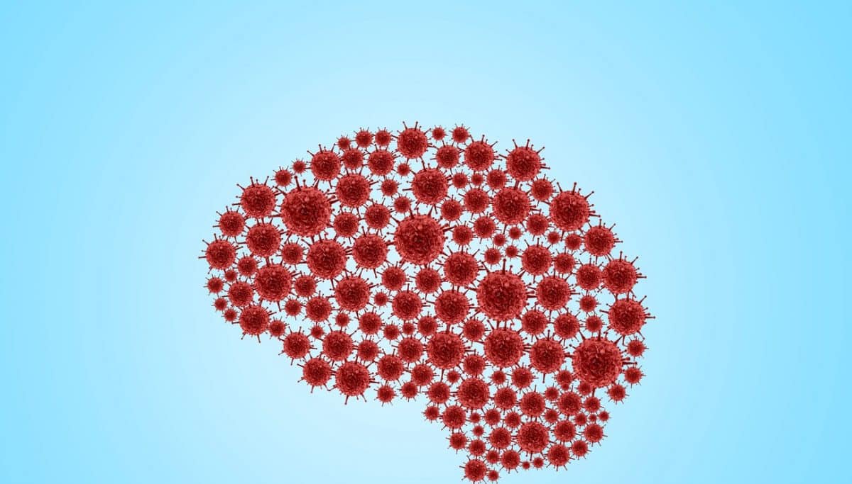 Le coronavirus favorise la formation des vaisseaux fantômes dans le cerveau