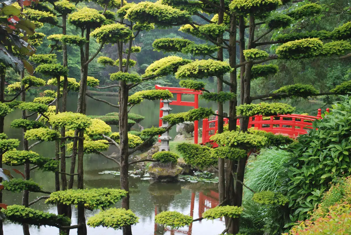 jardin japonais