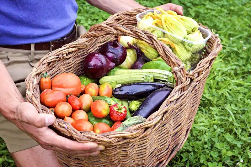 Fruits et légumes en folie les clés pour maigrir et faire des économies en faisant ses courses