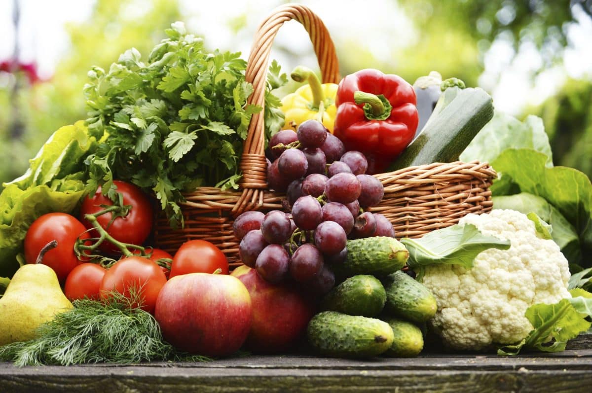 Les légumes de saison Un choix malin et écologique pour alléger votre budget alimentaire