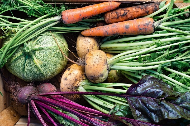 Les légumes de saison Un choix malin et écologique pour alléger votre budget alimentaire