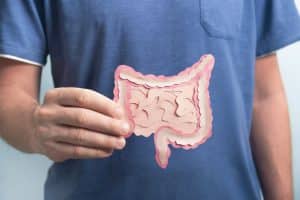 Les effets des probiotiques sur le système digestif